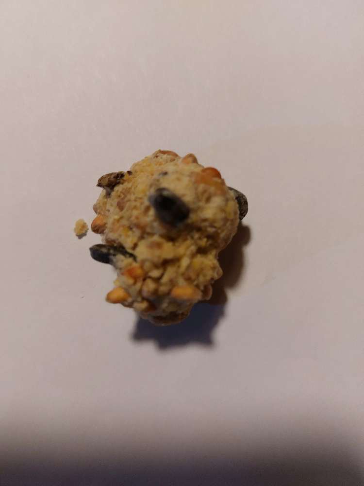 Giftköder-Verdächtiger Klumpen-Profilbild