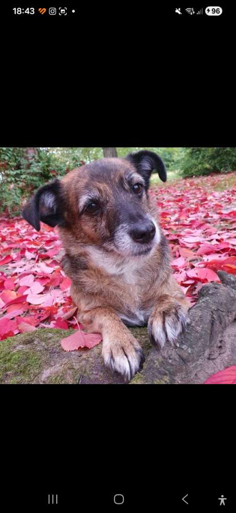 156 Farben Challenge Banner