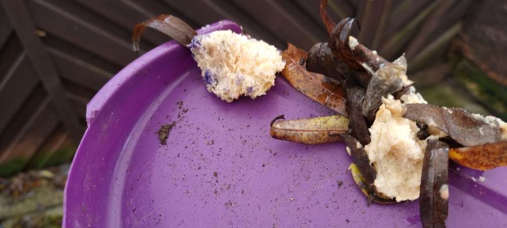 Giftköder-Giftköder im Garten-Profilbild