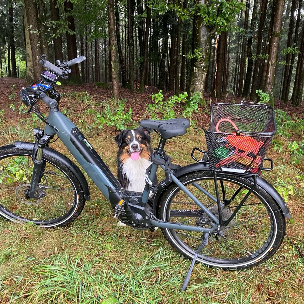 Dein Hund bei einem Radausflug Banner