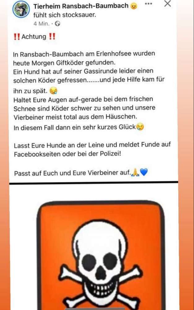 Giftköder-Giftköder-Profilbild