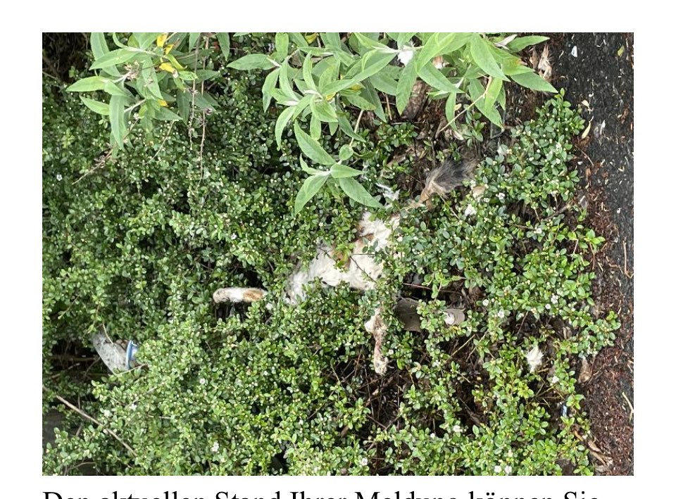 Giftköder-Toter Hund oder tote Katze-Profilbild