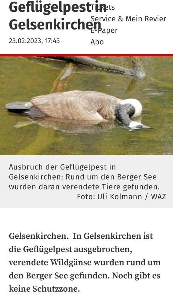 Giftköder-Geflügelpest-Profilbild