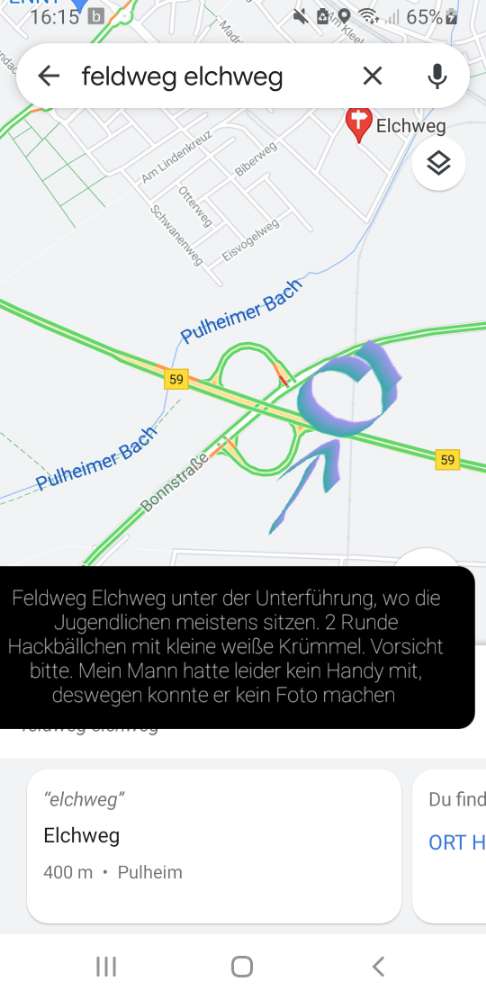Giftköder-Hackbällchen mit weißen kügelchen-Profilbild