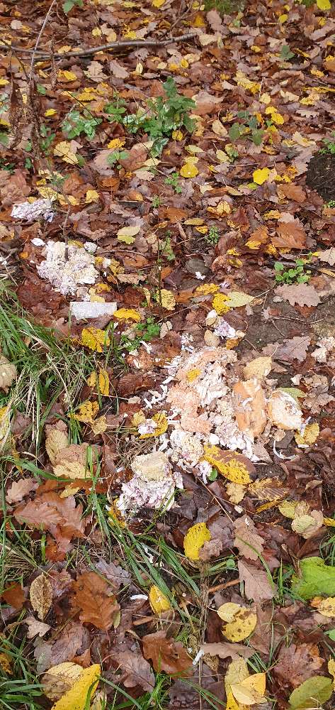 Giftköder-Möglicher Giftköder-Profilbild