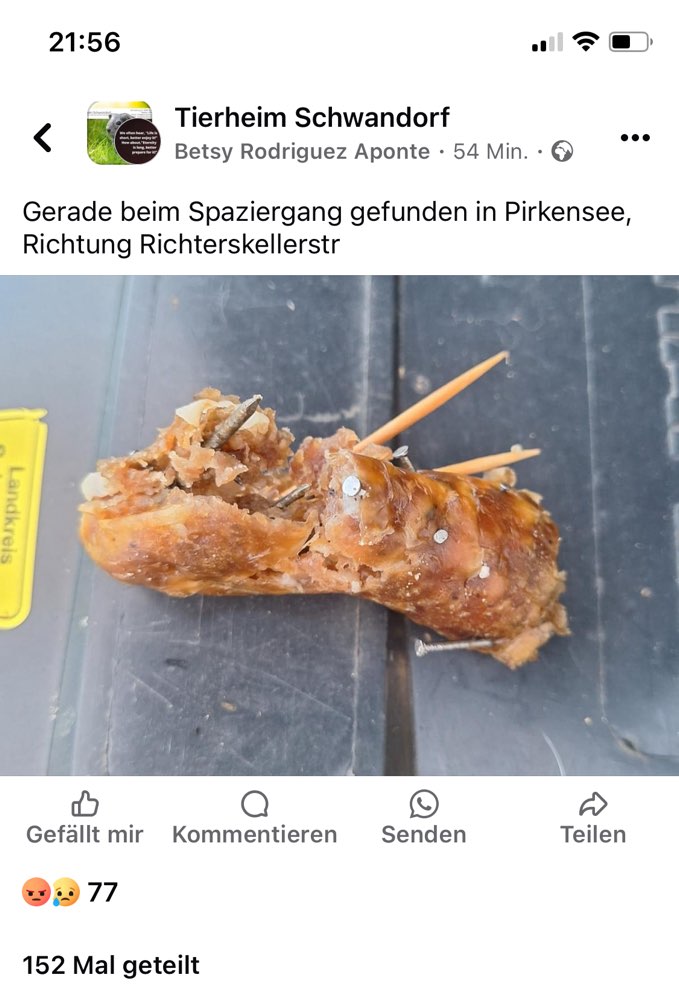 Giftköder-Fleisch mit Nägeln-Profilbild