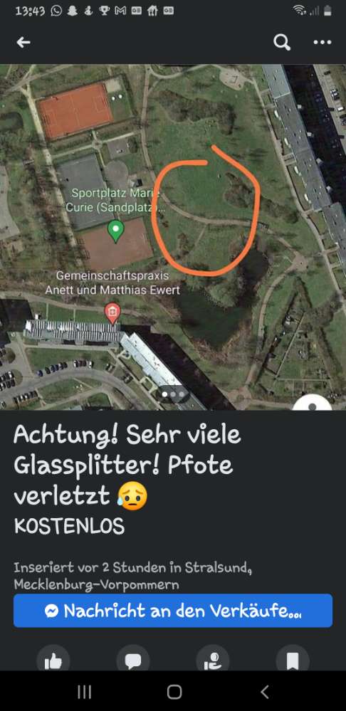 Giftköder-Glasscherben-Profilbild