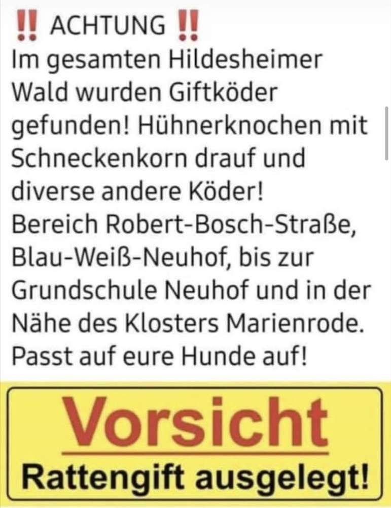 Giftköder-Giftköder mit Rattengift-Profilbild