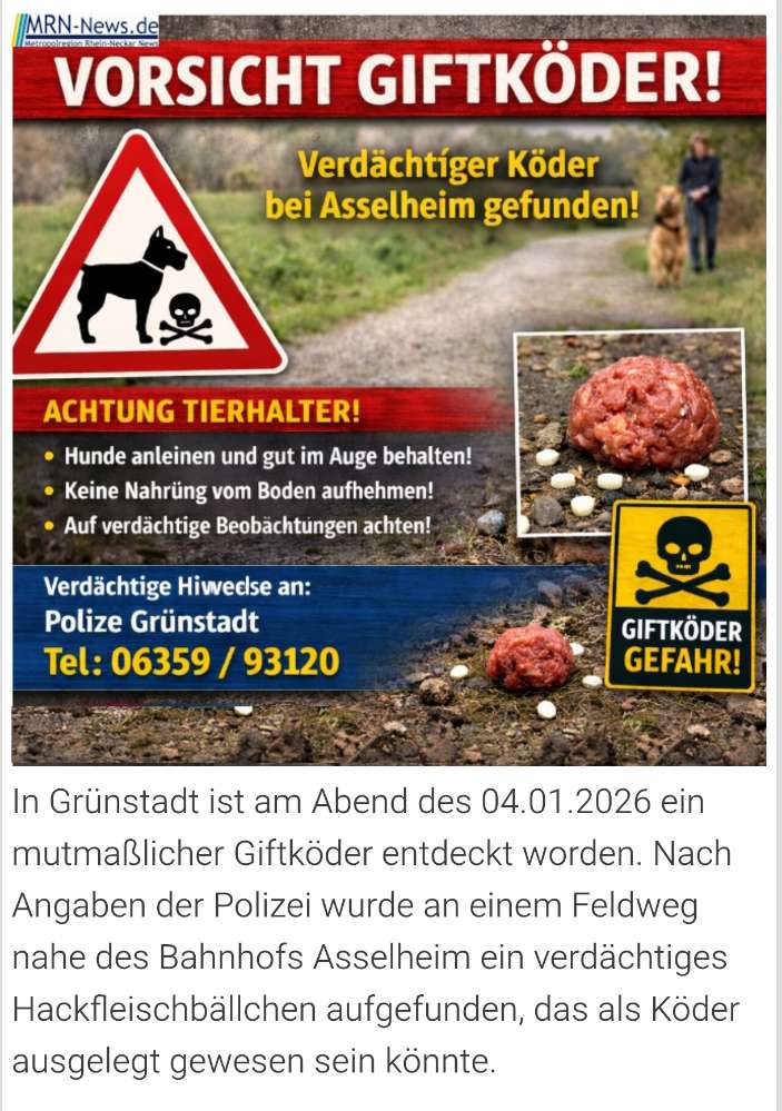 Giftköder-Giftköder laut Meldung von MRN-News.de-Profilbild