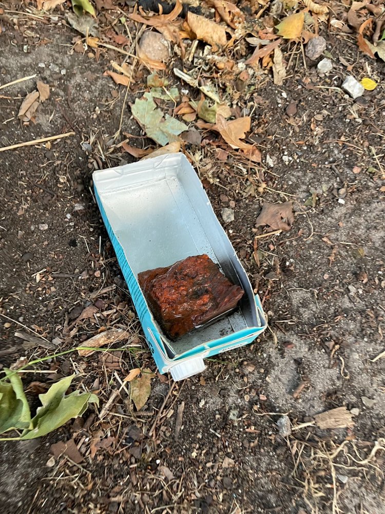 Giftköder-Giftköder in aufgeschnittenen Tetra-Paks-Profilbild