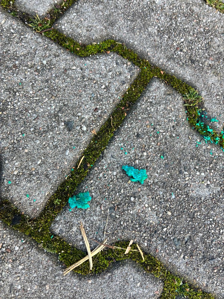 Giftköder-Vermutlich Rattengift oder Schneckenkorn-Profilbild