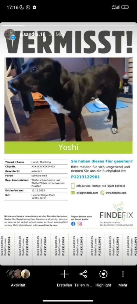 Suchmeldung-Yoshi-Profilbild