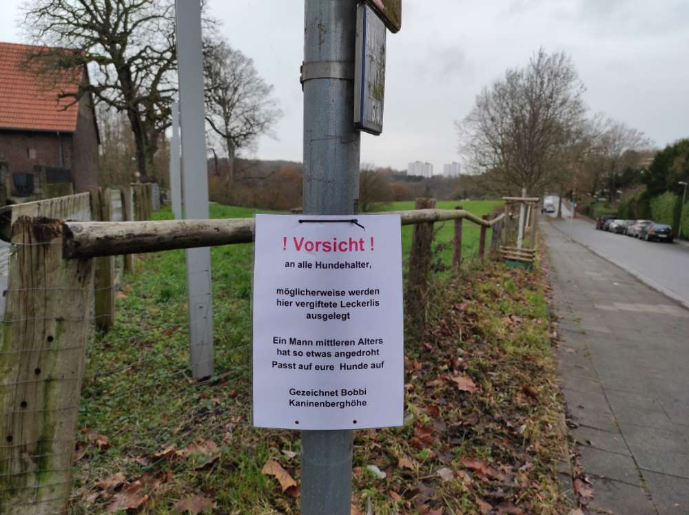 Giftköder-Giftköder-Profilbild