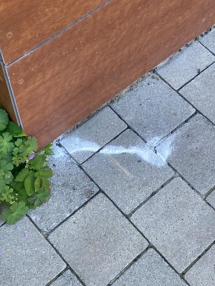 Giftköder-Vermutlich Gift rund um den Bednar Park!-Profilbild