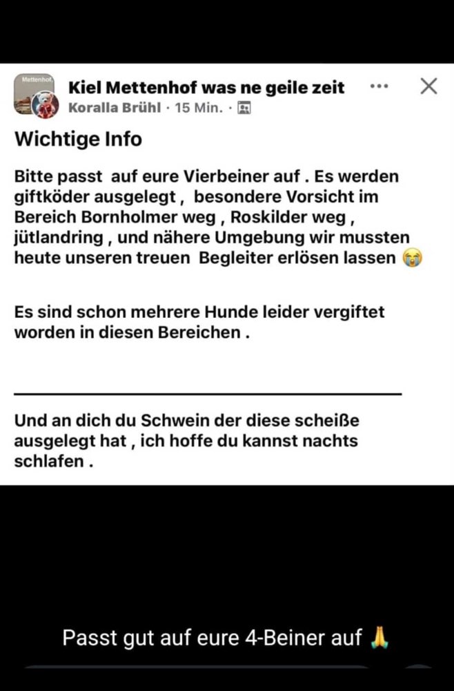 Giftköder-Giftköder-Profilbild