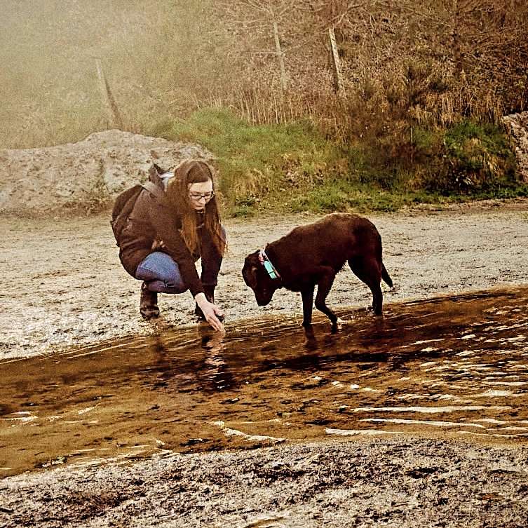 Hundetreffen-Entspannte Gänge-Profilbild