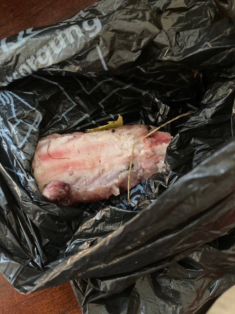 Giftköder-Giftköder/ Fleischstücke-Profilbild