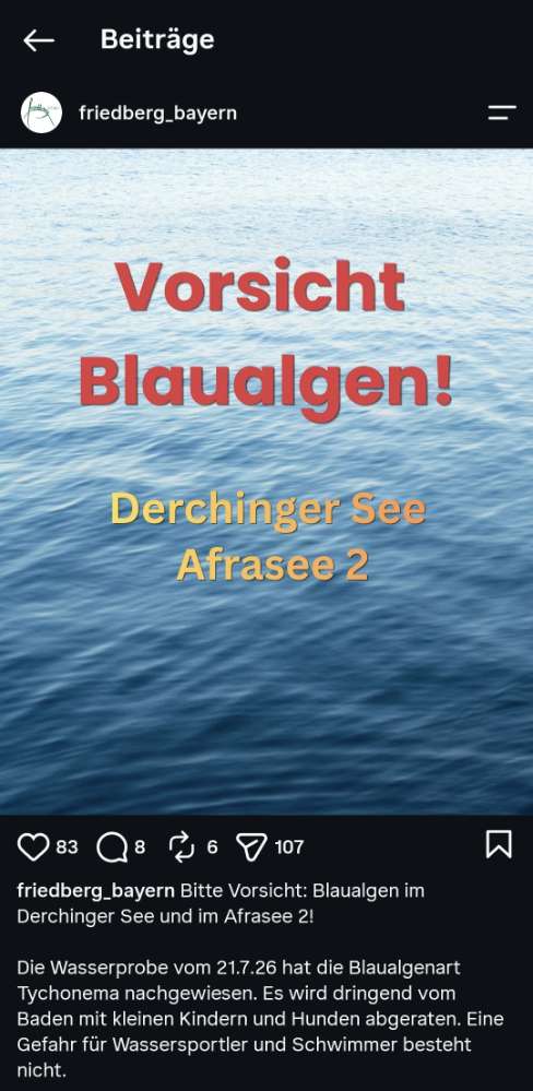 Giftköder-Blaualgen Afrasee2 und Derchinger See-Profilbild