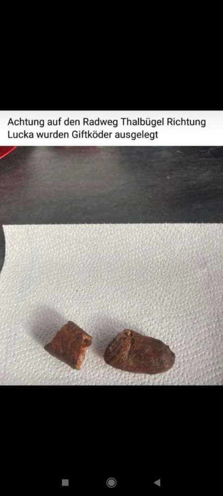 Giftköder-Giftköder-Profilbild