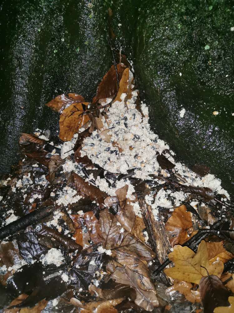 Giftköder-vogelfutterkugeln-Profilbild