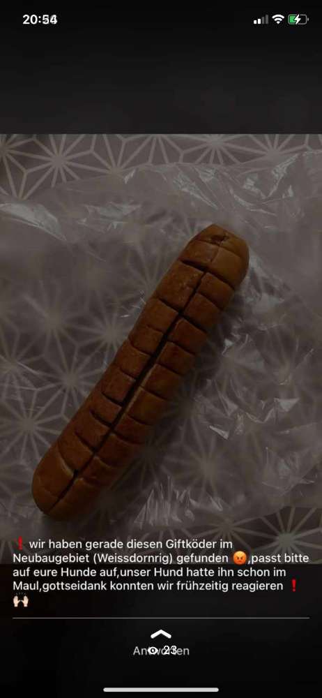 Giftköder-Giftköder-Profilbild