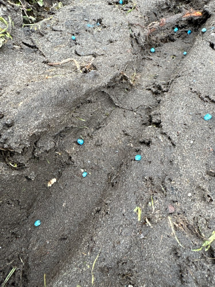 Giftköder-Blaues Zeug-Profilbild