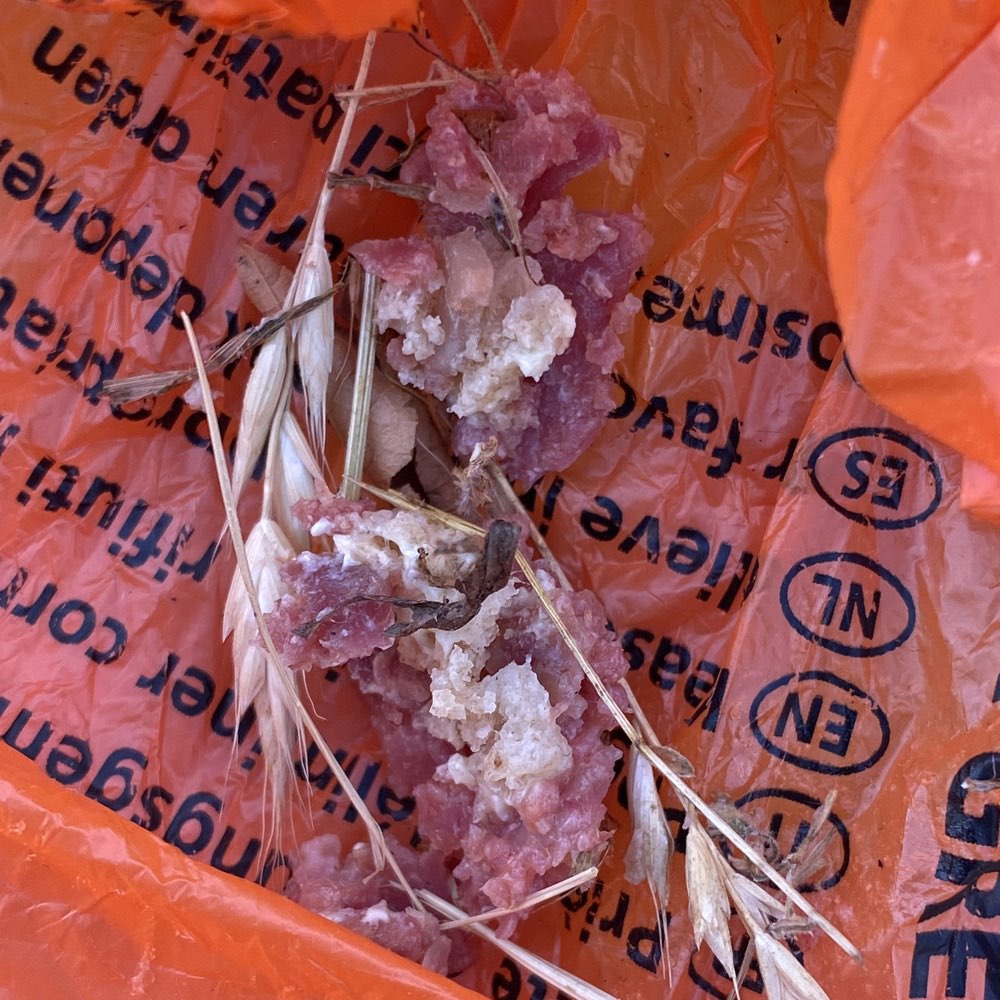 Giftköder-Giftköder-Profilbild