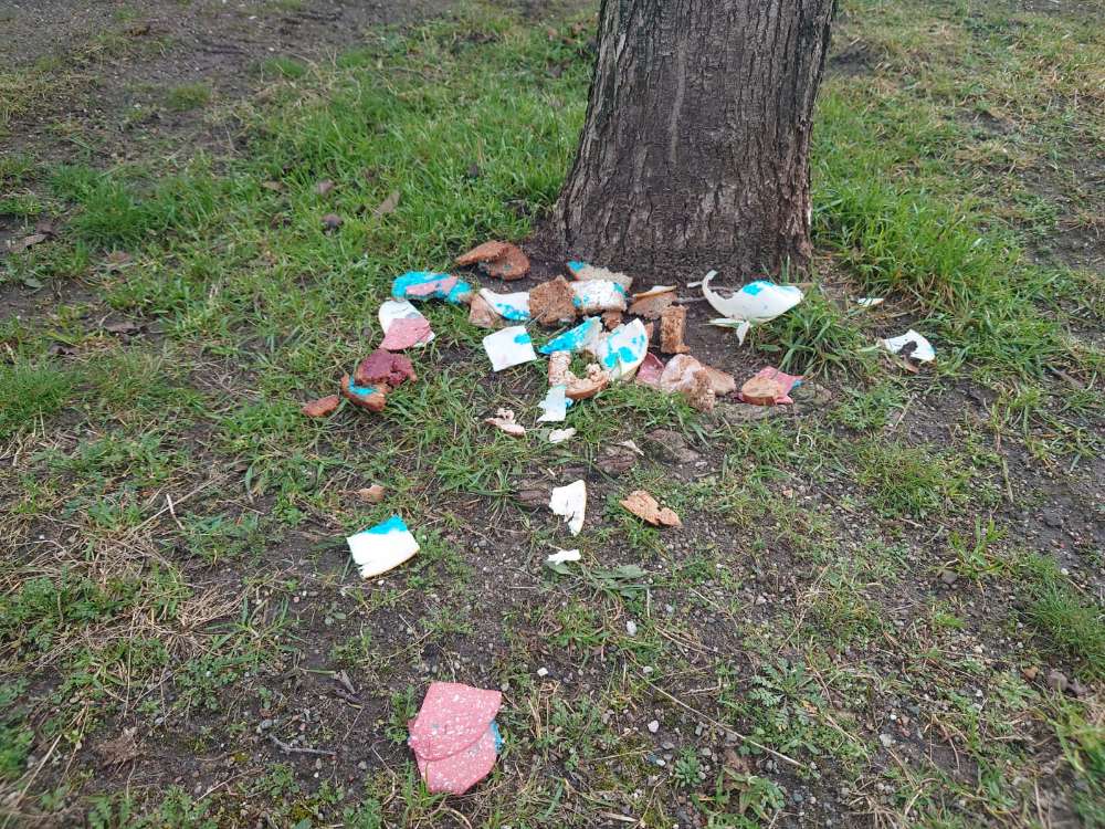 Giftköder-Gift-Profilbild