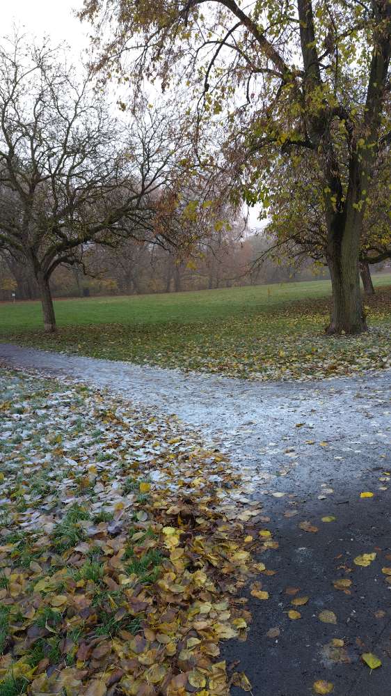 Giftköder-Weiß-blaues Pulver großflächig verstreut-Profilbild