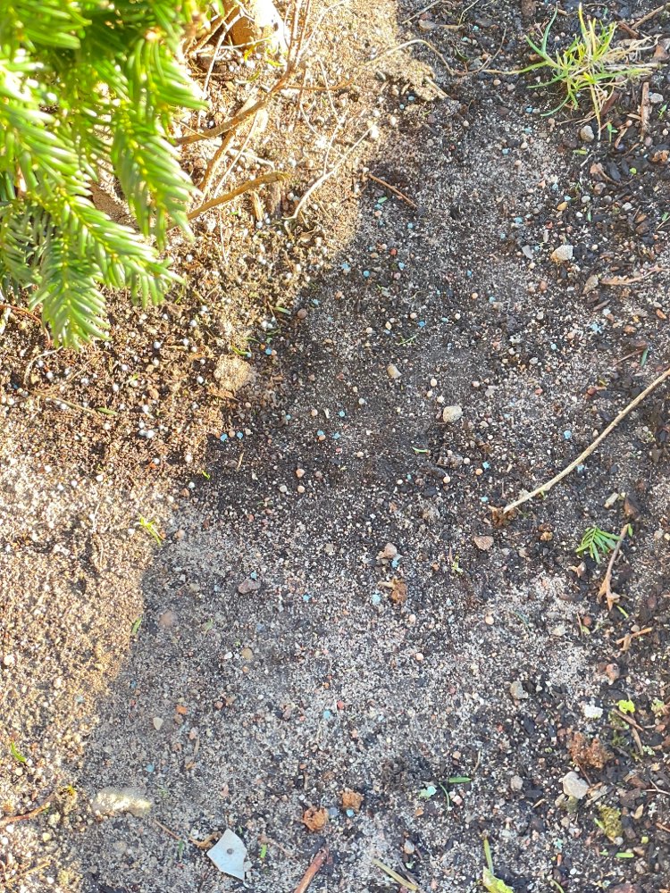 Giftköder-Rattengift-Profilbild