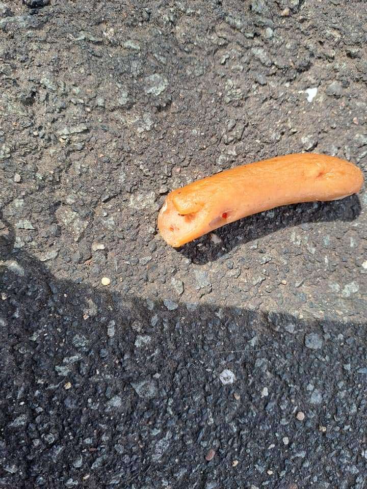 Giftköder-Giftköder!!!-Profilbild