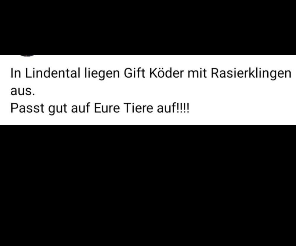 Giftköder-Giftköder-Profilbild