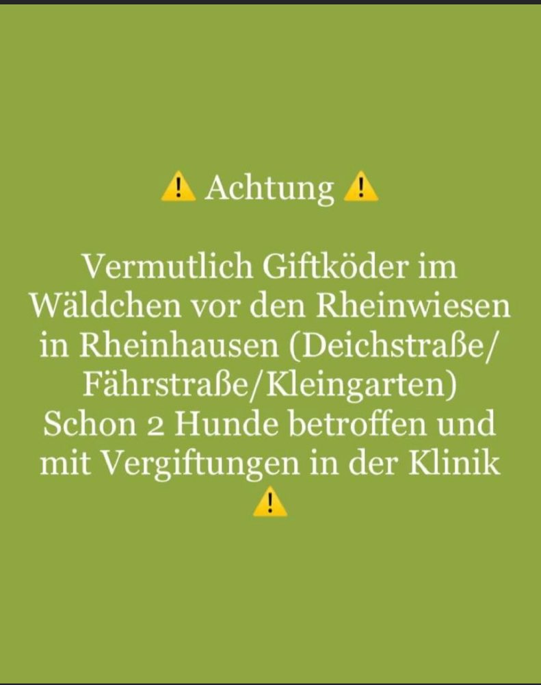 Giftköder-Wahrscheinlich Giftköder-Profilbild