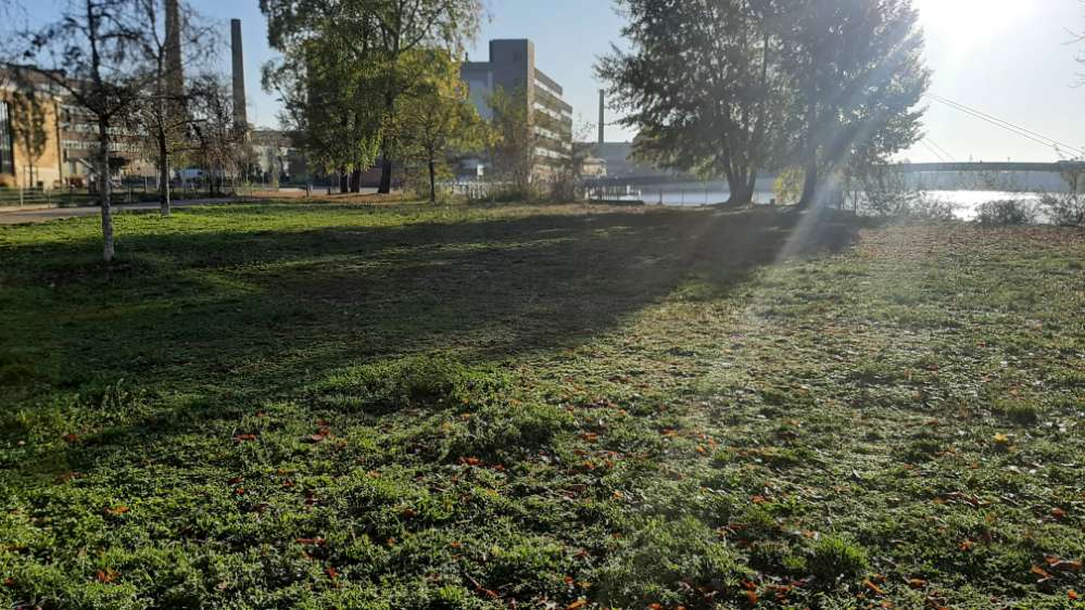 Giftköder-Giftköder-Profilbild