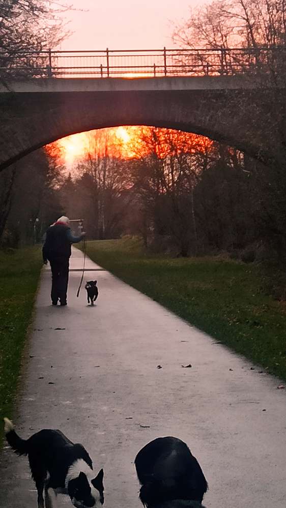 Hundetreffen-Hunde Treff in Üttfeld er umgebung-Profilbild