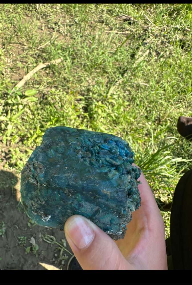 Giftköder-Giftköder-Profilbild