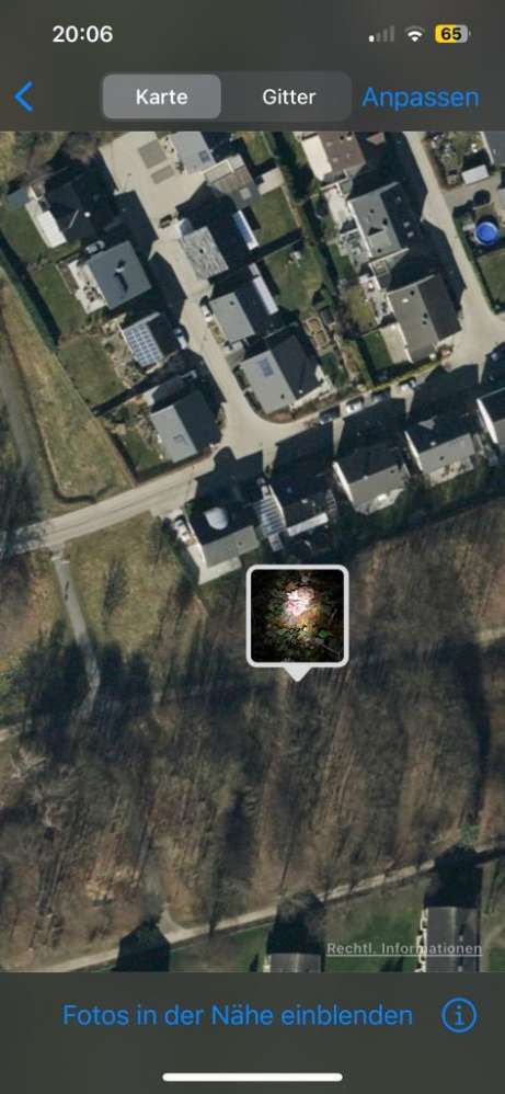 Giftköder-Rohes ausgelegtes Fleisch-Profilbild