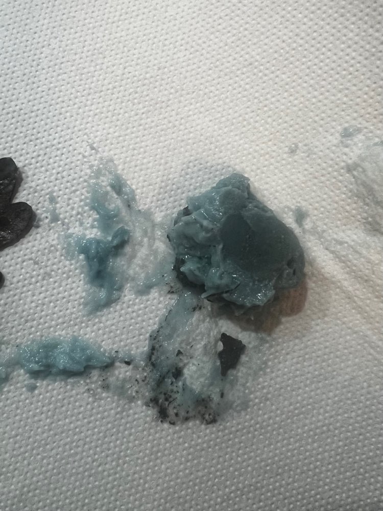 Giftköder-Giftköder / Rattengift-Profilbild