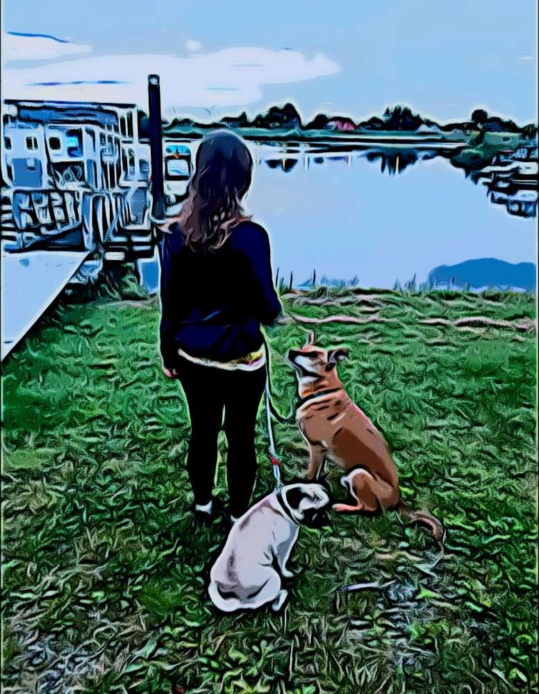 Hundetreffen-Treffen für Französisch Bulldoggen oder Mopsmischlingen-Profilbild