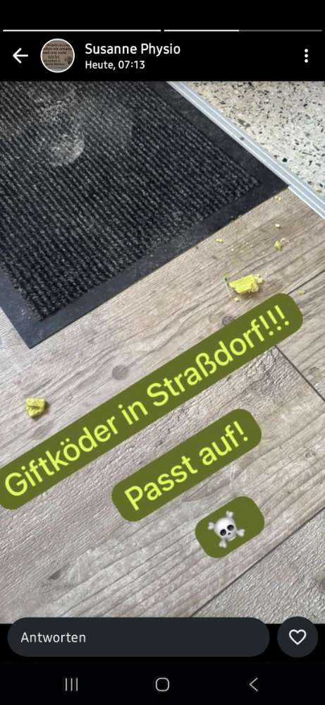 Giftköder-Giftköder-Profilbild