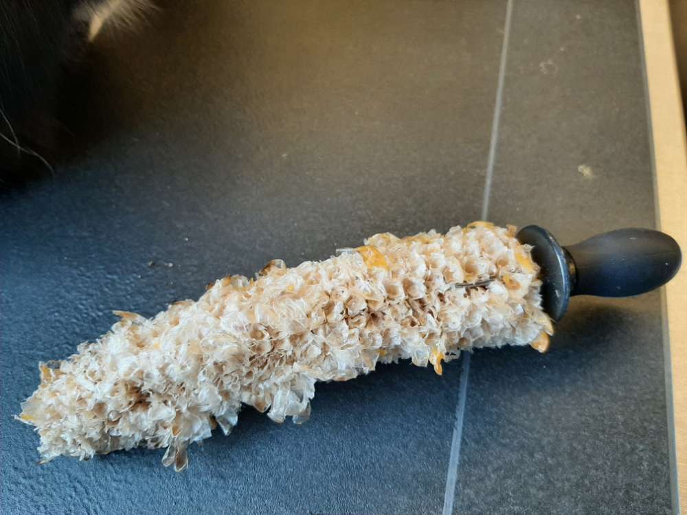 Giftköder-Giftköder-Profilbild