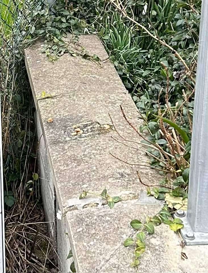 Giftköder-Giftköder-Profilbild