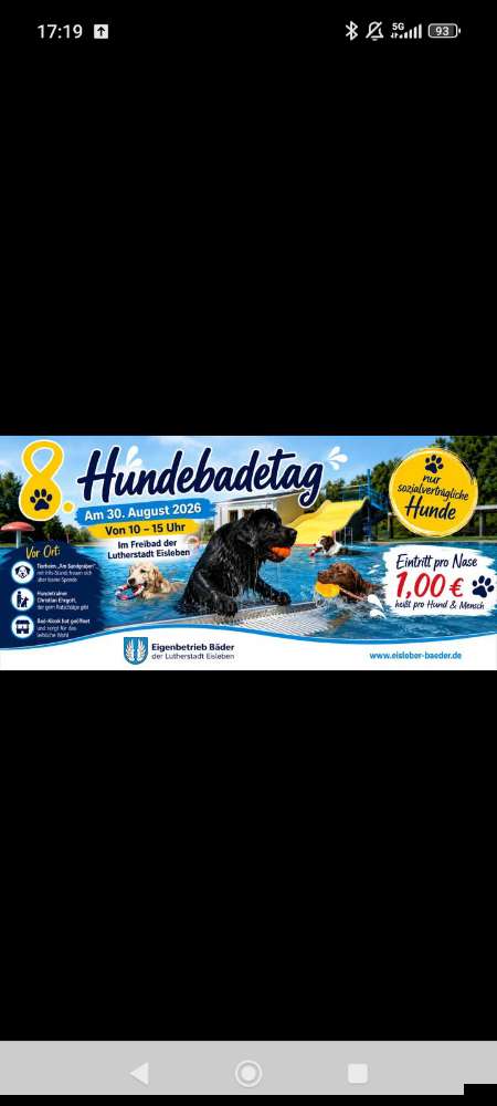 Hundetreffen-Hundebadetag-Profilbild