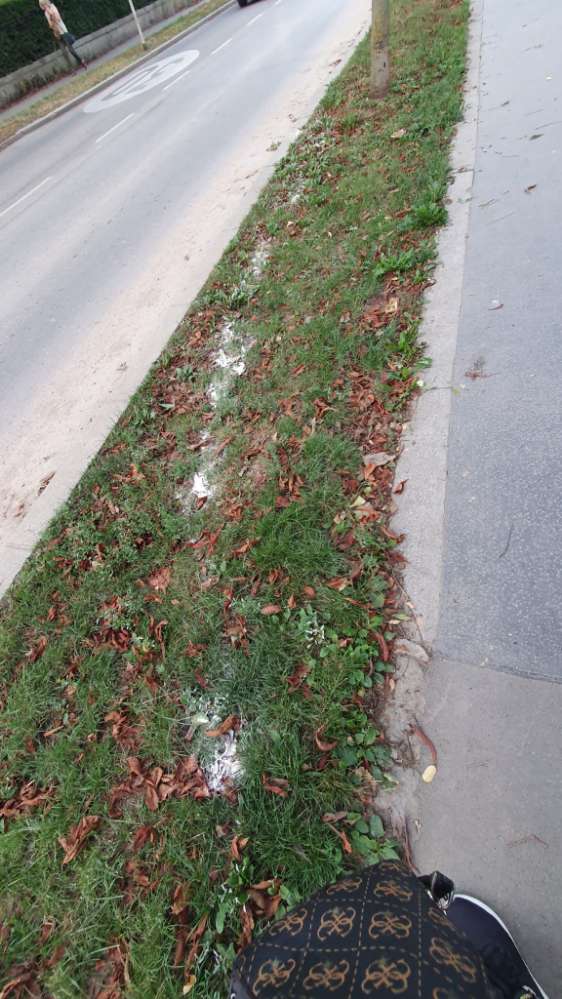 Giftköder-Verdacht auf Giftpulver! 1130 Wien-Profilbild