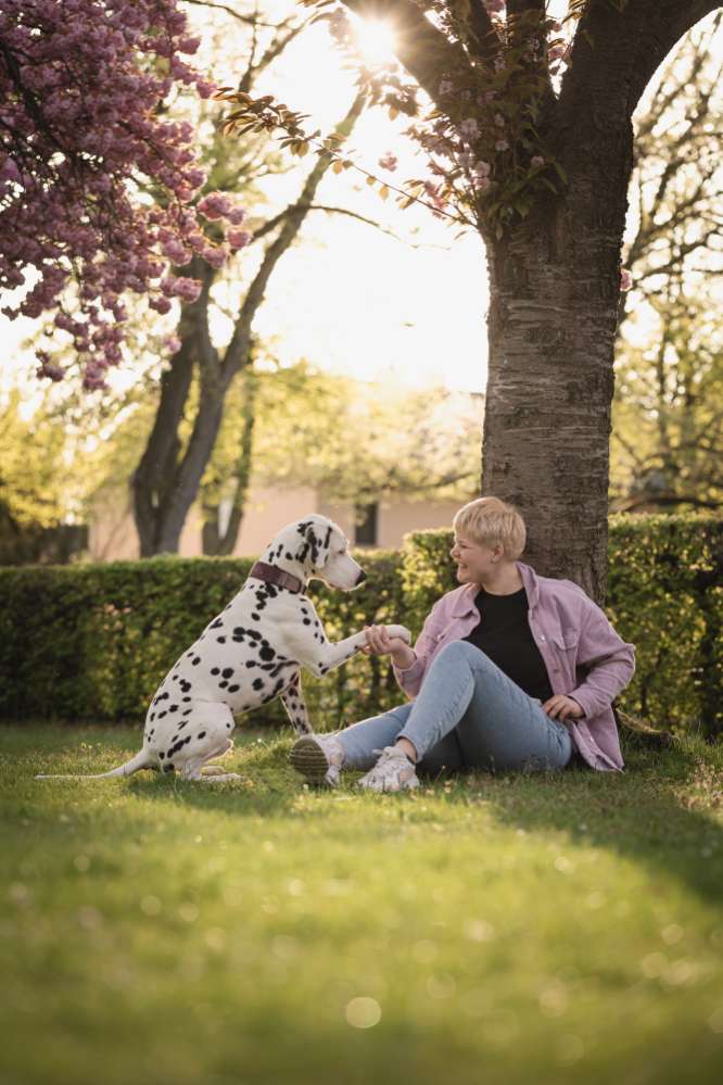 Hundetreffen-Social Walks und Trainingsspaziergänge-Profilbild