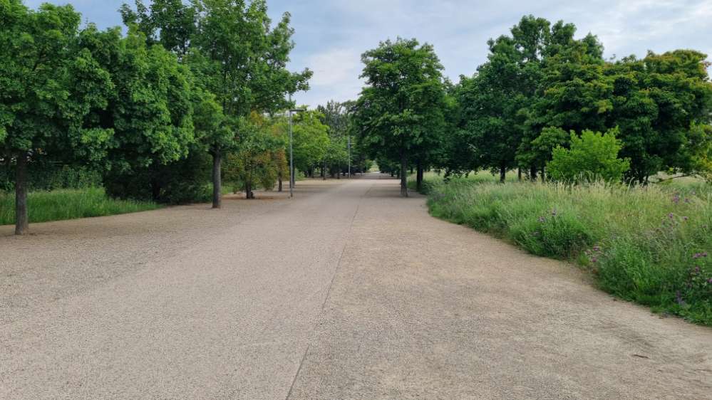 Giftköder-Eichenprozessionsspinner-Profilbild