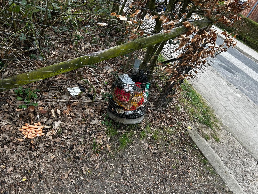 Giftköder-Giftköder-Profilbild