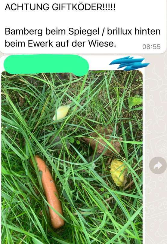 Giftköder-Vermutlich Giftköder-Profilbild