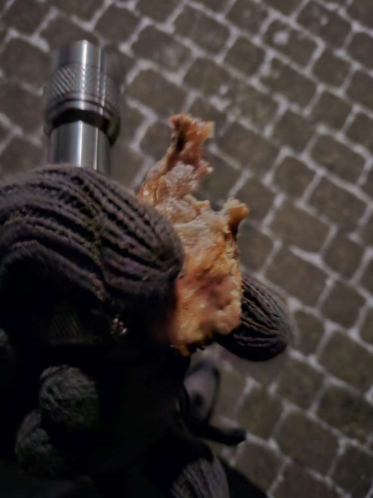 Giftköder-Komische Stücke Maulwurf Spielplatz Weidedamm-Profilbild