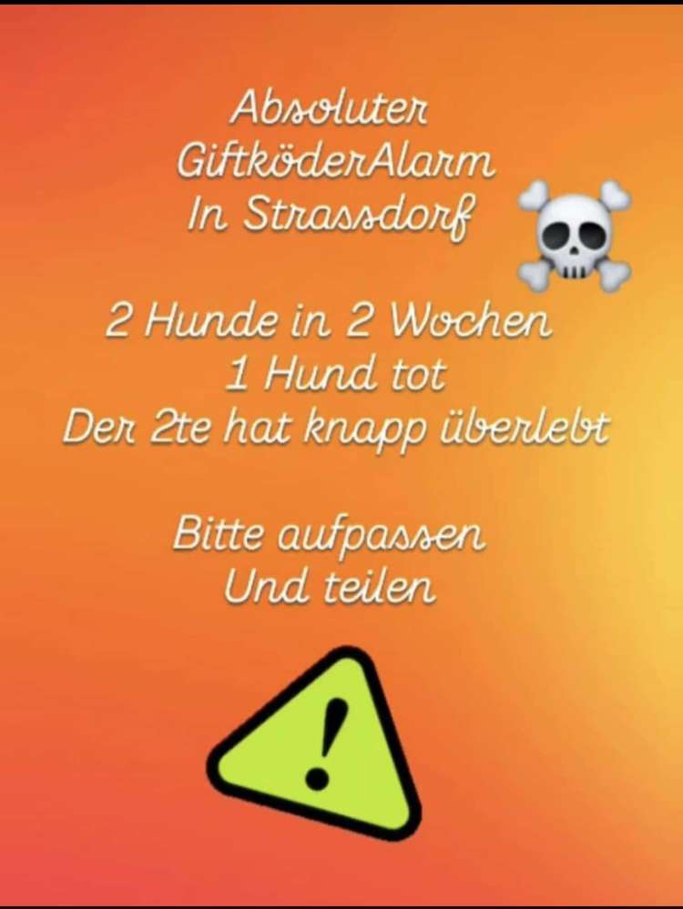 Giftköder-Giftköder-Profilbild